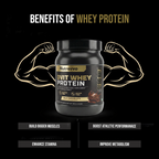DVIT WHEY PROTEIN - Premium Muscle Building & Recovery Supplement